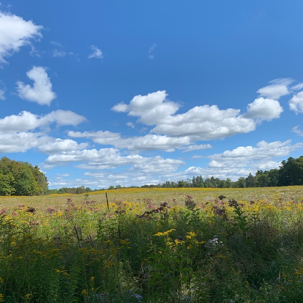 Meet your Posher, Mikayla